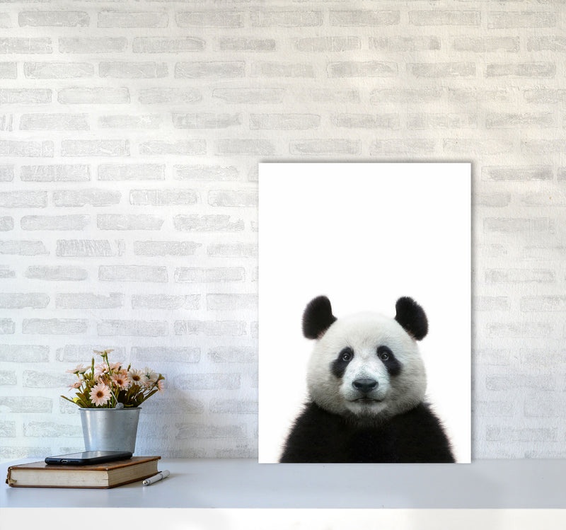 The Panda Art Print by Seven Trees Design A2 Black Frame