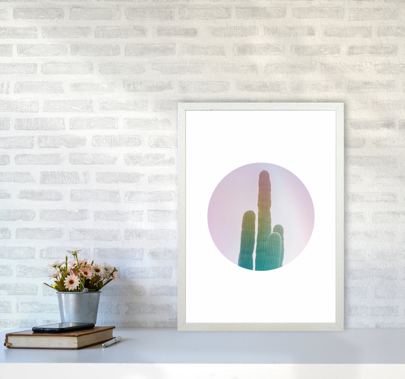 Circular Cacti Art Print by Seven Trees Design A2 Oak Frame