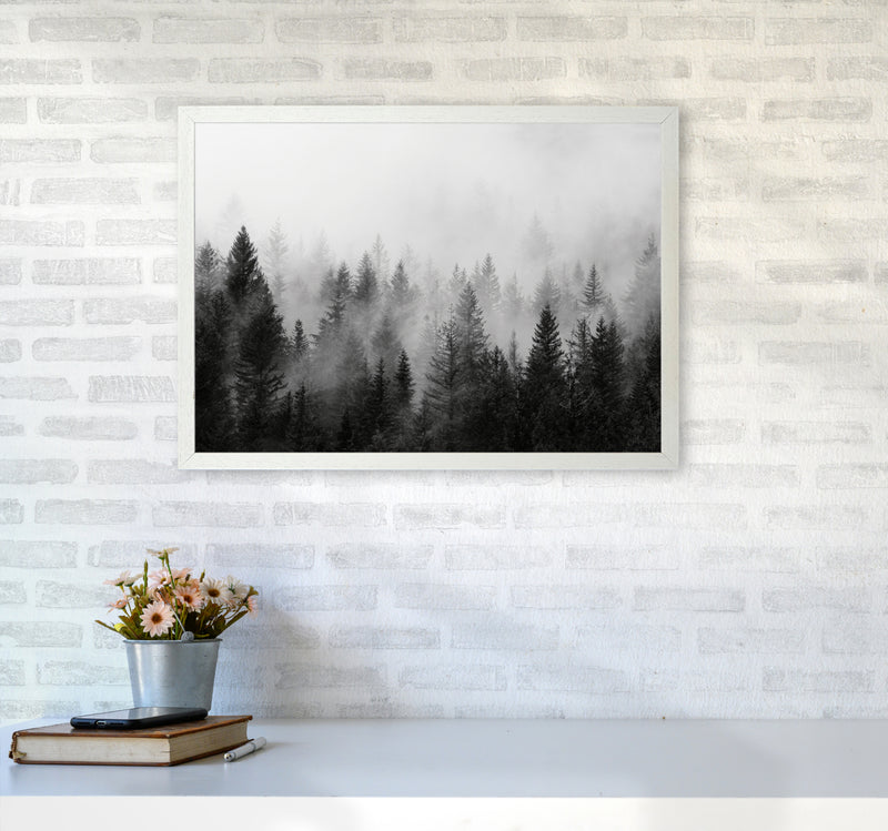 B&W Forest Photography Art Print by Seven Trees Design A2 Oak Frame