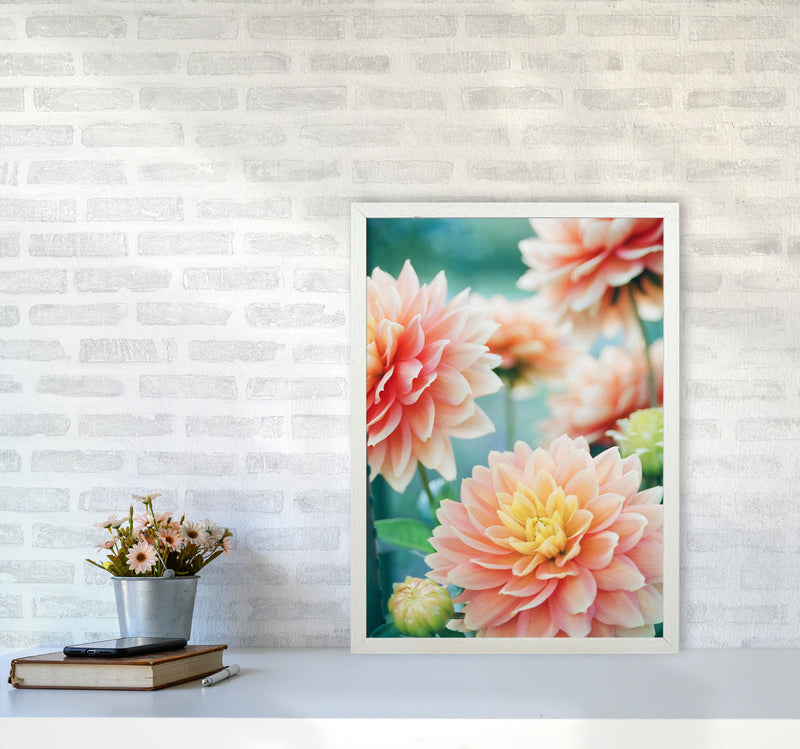 Happy Flowers Photography Art Print by Seven Trees Design A2 Oak Frame