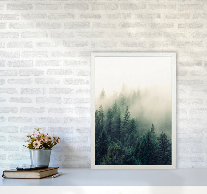 The Fog And The Forest II Photography Art Print by Seven Trees Design A2 Oak Frame
