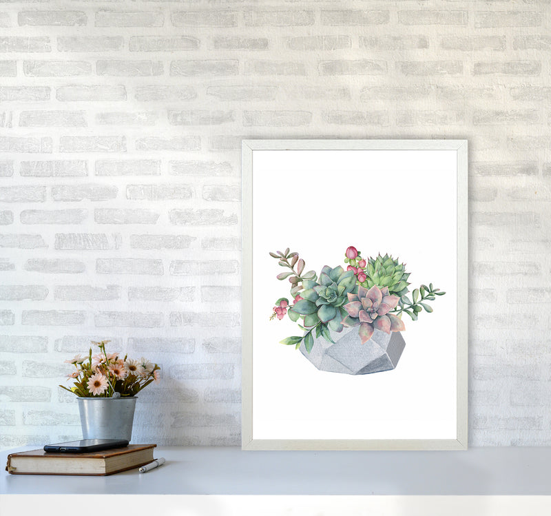 The Watercolor Succulents Art Print by Seven Trees Design A2 Oak Frame