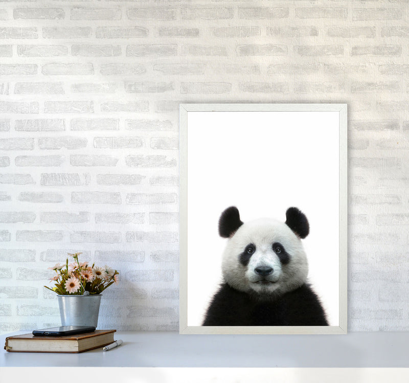 The Panda Art Print by Seven Trees Design A2 Oak Frame