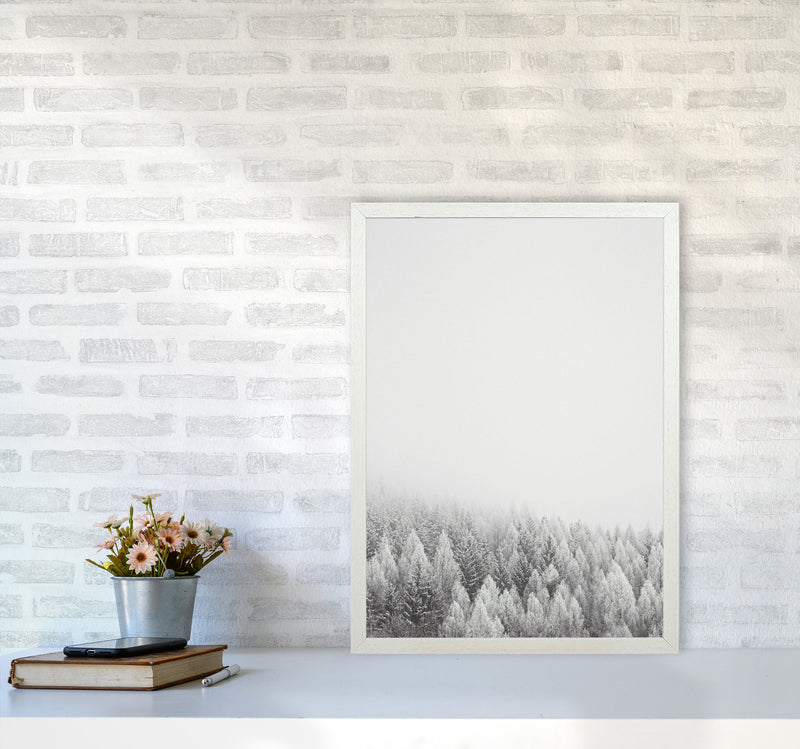 The White Forest Art Print by Seven Trees Design A2 Oak Frame