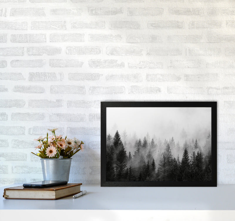 B&W Forest Photography Art Print by Seven Trees Design A3 White Frame