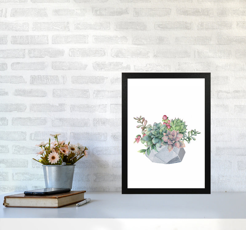 The Watercolor Succulents Art Print by Seven Trees Design A3 White Frame