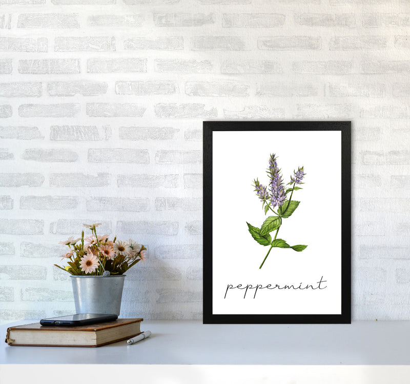 peppermint Art Print by Seven Trees Design A3 White Frame