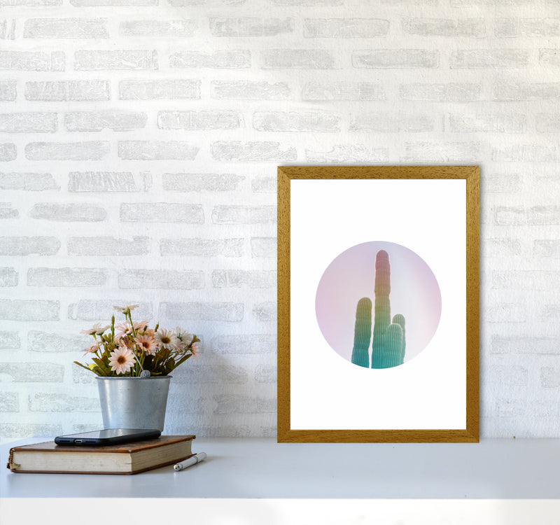 Circular Cacti Art Print by Seven Trees Design A3 Print Only