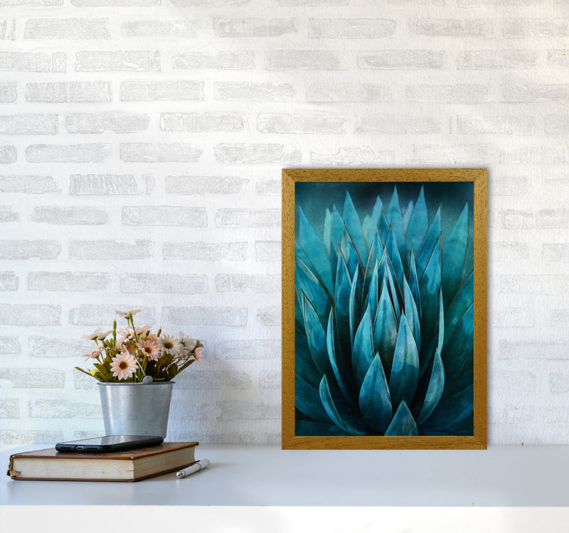Blue Succulent Art Print by Seven Trees Design A3 Print Only