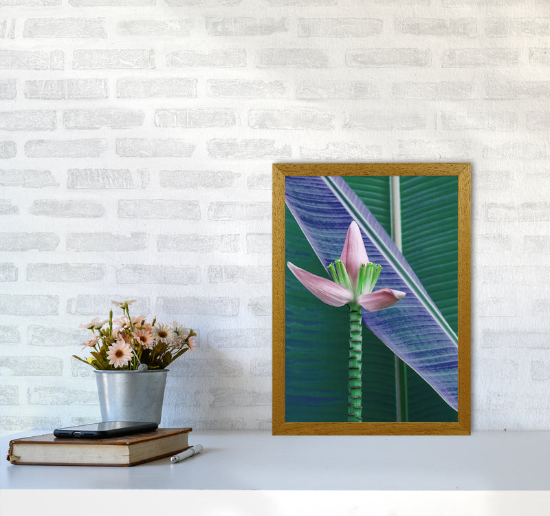 The Banana Flower Art Print by Seven Trees Design A3 Print Only
