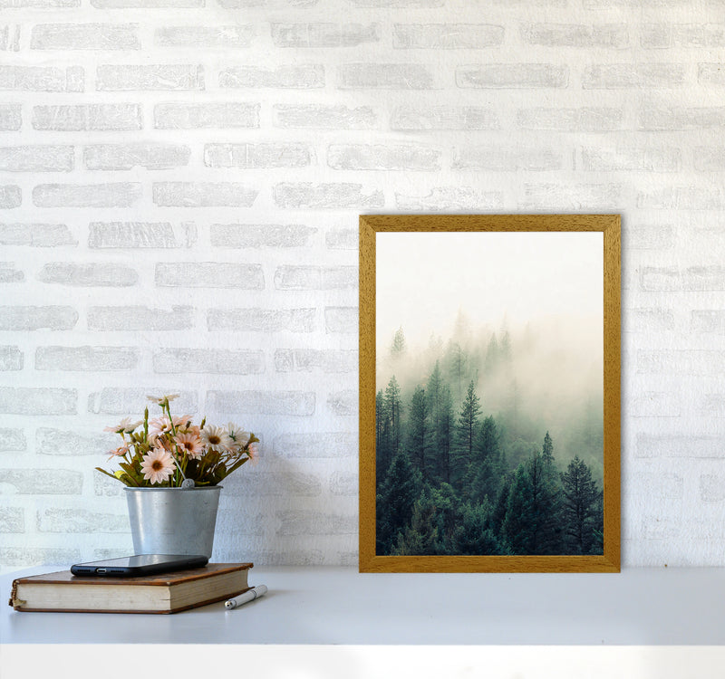 The Fog And The Forest II Photography Art Print by Seven Trees Design A3 Print Only