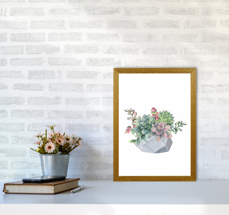 The Watercolor Succulents Art Print by Seven Trees Design A3 Print Only