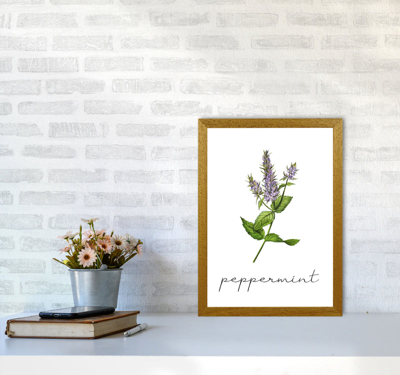 peppermint Art Print by Seven Trees Design A3 Print Only