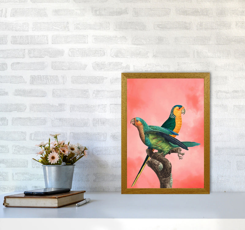 The Birds and the pink sky II Art Print by Seven Trees Design A3 Print Only