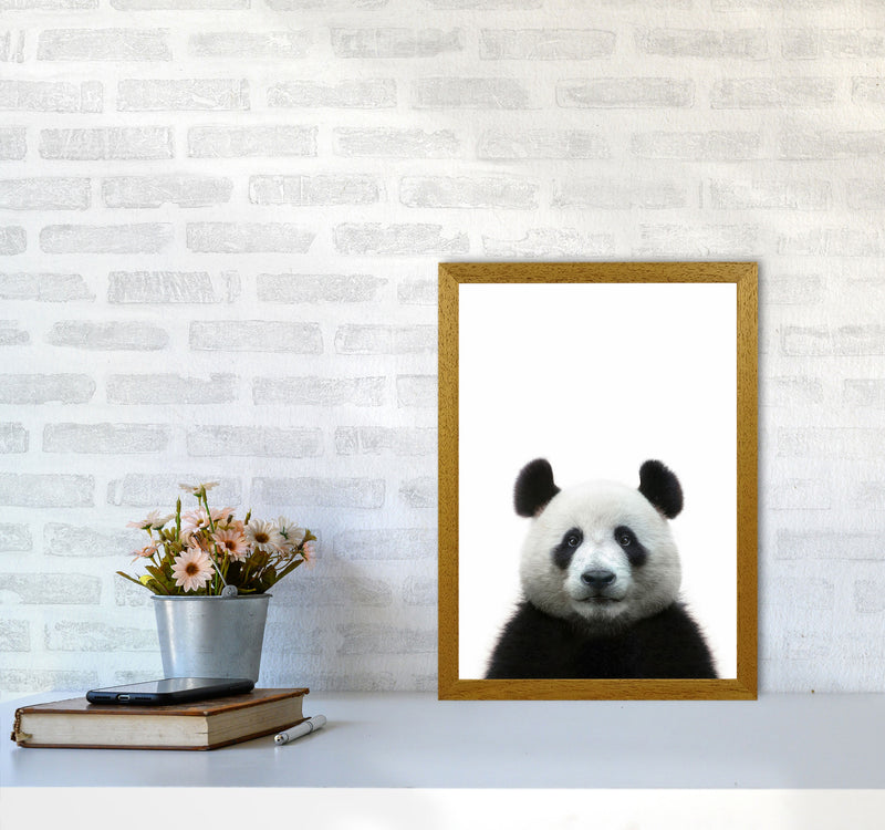 The Panda Art Print by Seven Trees Design A3 Print Only