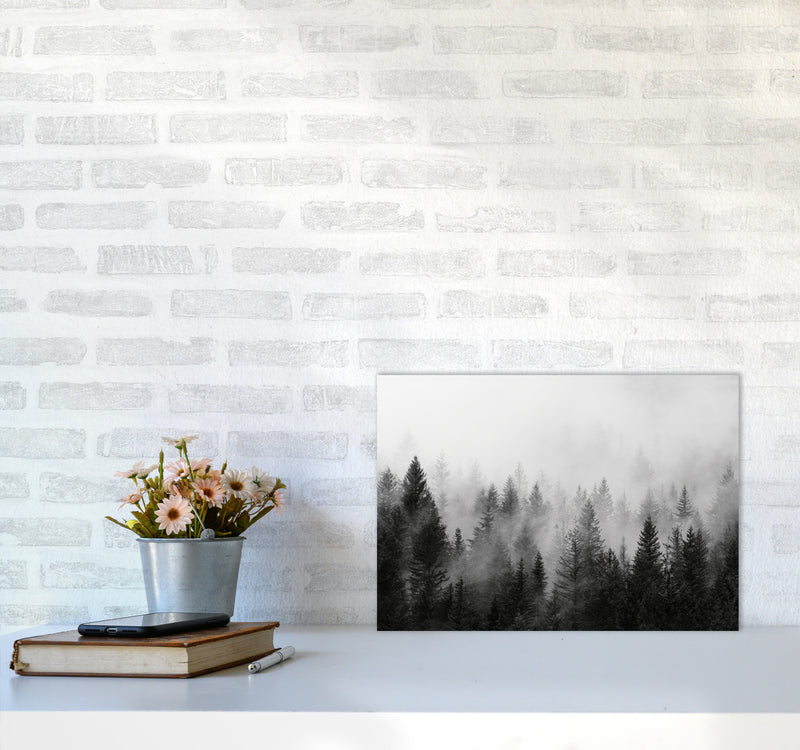 B&W Forest Photography Art Print by Seven Trees Design A3 Black Frame