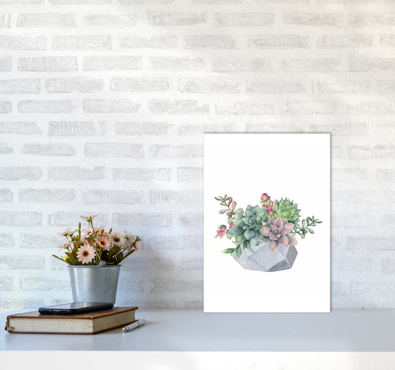 The Watercolor Succulents Art Print by Seven Trees Design A3 Black Frame