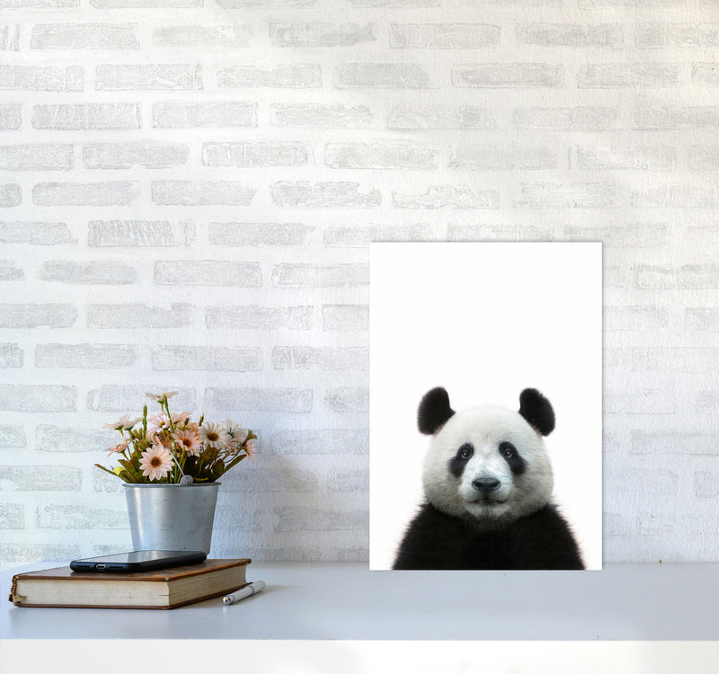 The Panda Art Print by Seven Trees Design A3 Black Frame