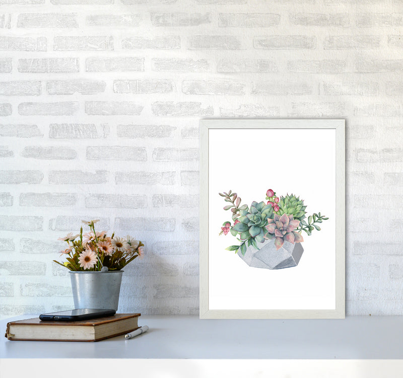 The Watercolor Succulents Art Print by Seven Trees Design A3 Oak Frame