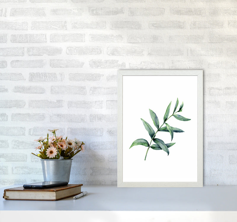 Watercolor Eucalyptus I Art Print by Seven Trees Design A3 Oak Frame