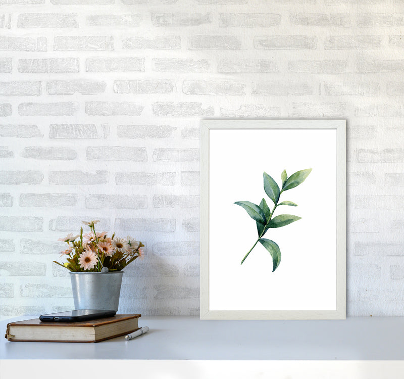 Watercolor Eucalyptus II Art Print by Seven Trees Design A3 Oak Frame
