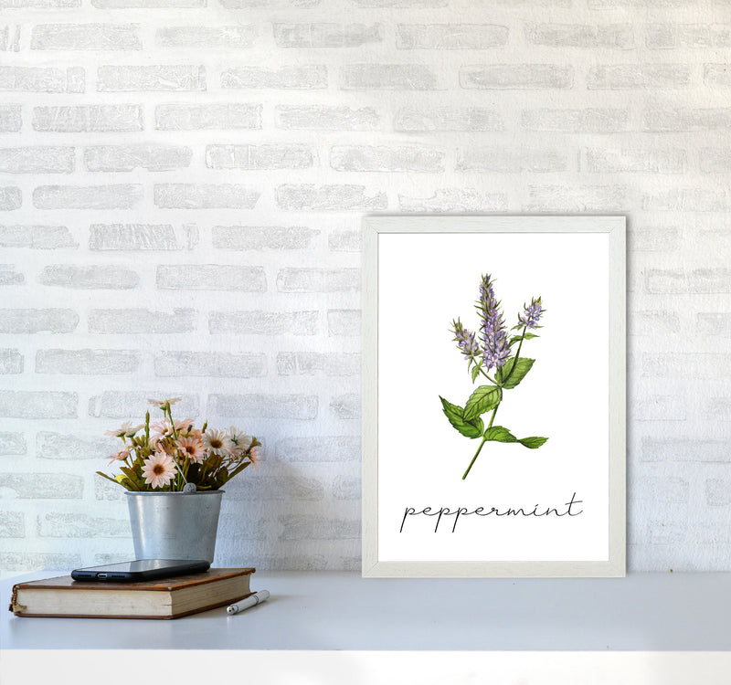 peppermint Art Print by Seven Trees Design A3 Oak Frame