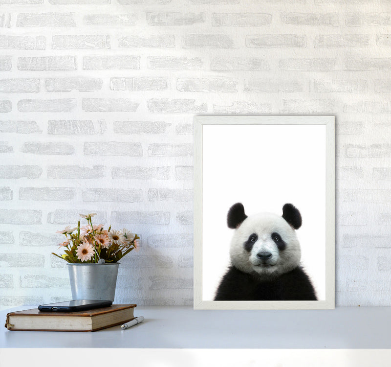 The Panda Art Print by Seven Trees Design A3 Oak Frame