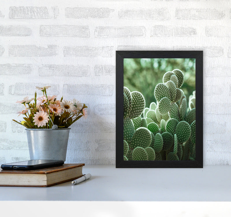 The Cacti Cactus Photography Art Print by Seven Trees Design A4 White Frame