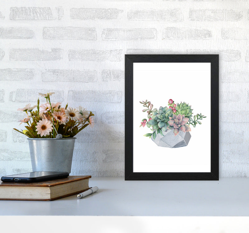 The Watercolor Succulents Art Print by Seven Trees Design A4 White Frame