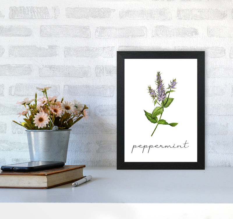 peppermint Art Print by Seven Trees Design A4 White Frame