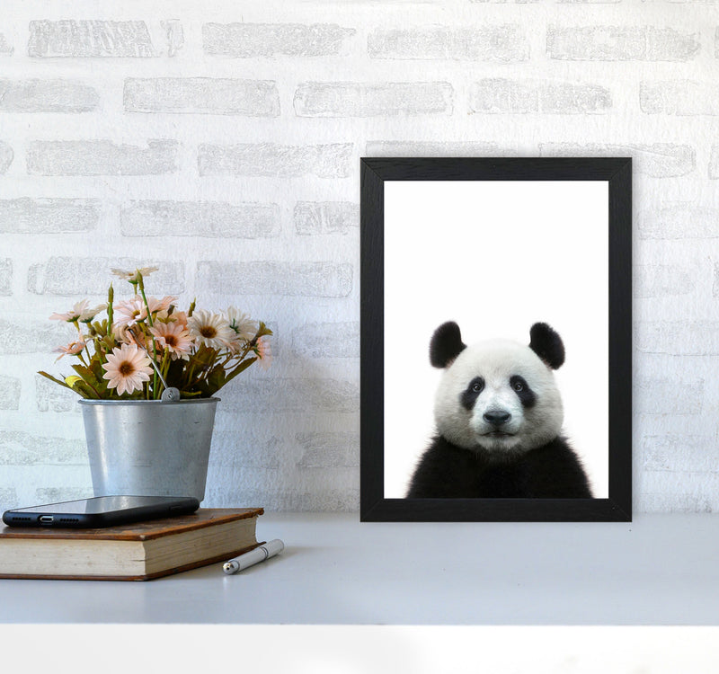 The Panda Art Print by Seven Trees Design A4 White Frame