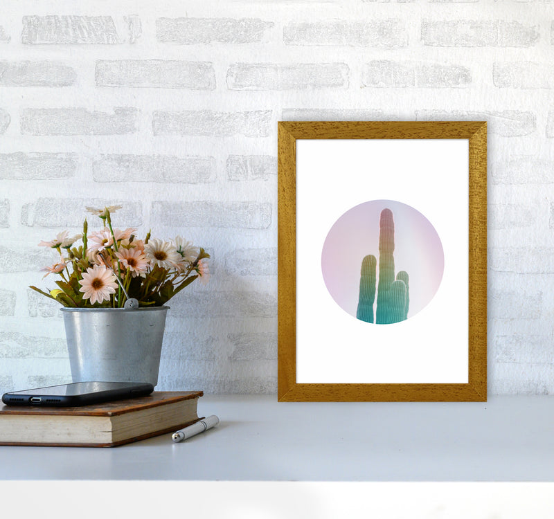 Circular Cacti Art Print by Seven Trees Design A4 Print Only