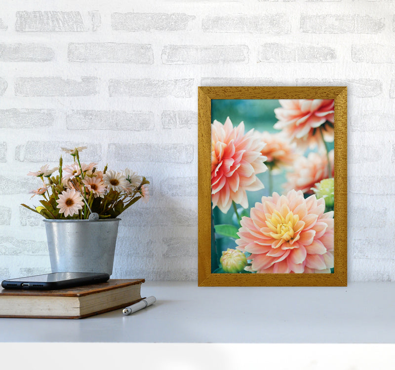 Happy Flowers Photography Art Print by Seven Trees Design A4 Print Only