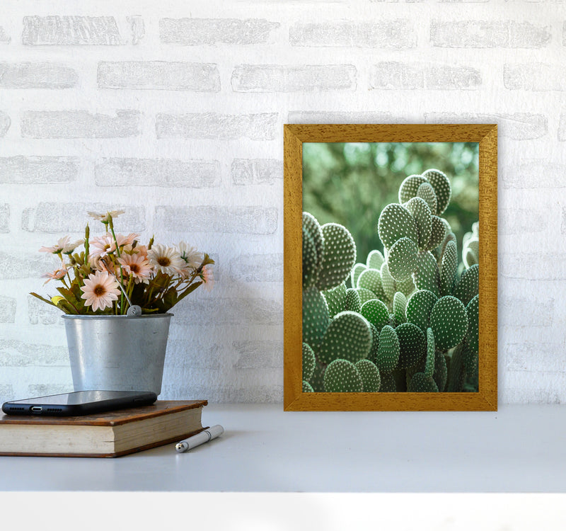 The Cacti Cactus Photography Art Print by Seven Trees Design A4 Print Only