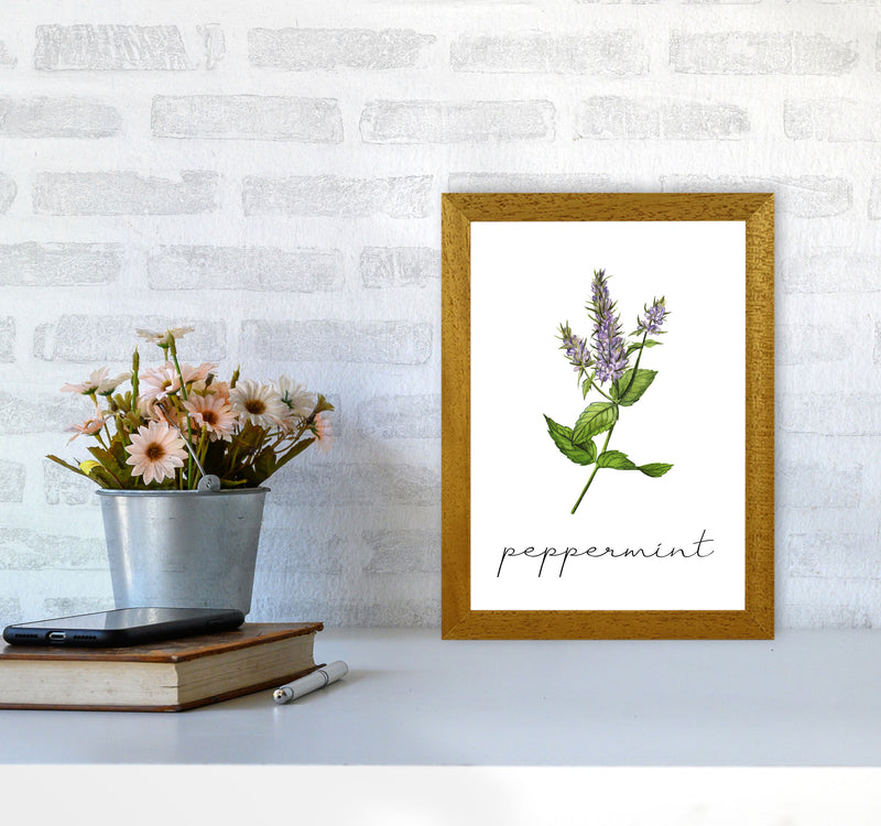 peppermint Art Print by Seven Trees Design A4 Print Only