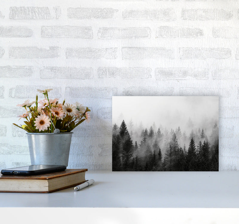 B&W Forest Photography Art Print by Seven Trees Design A4 Black Frame