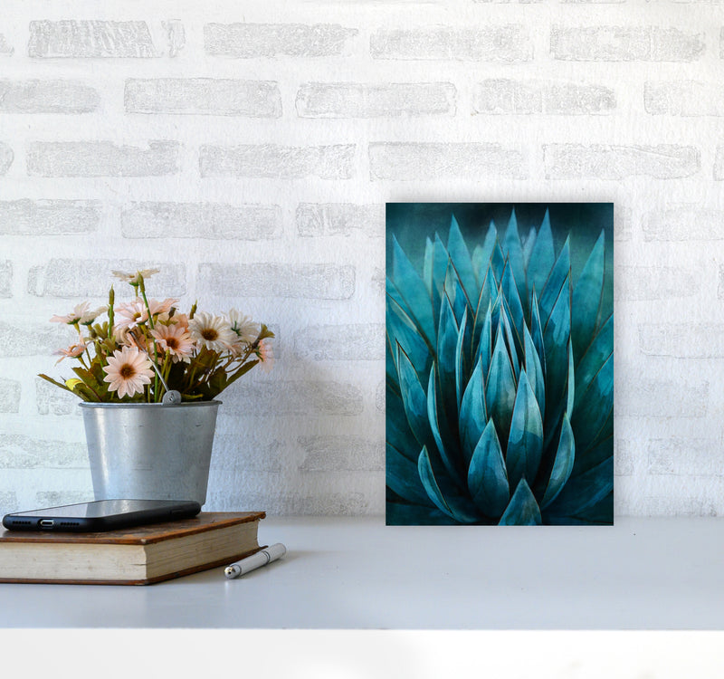 Blue Succulent Art Print by Seven Trees Design A4 Black Frame