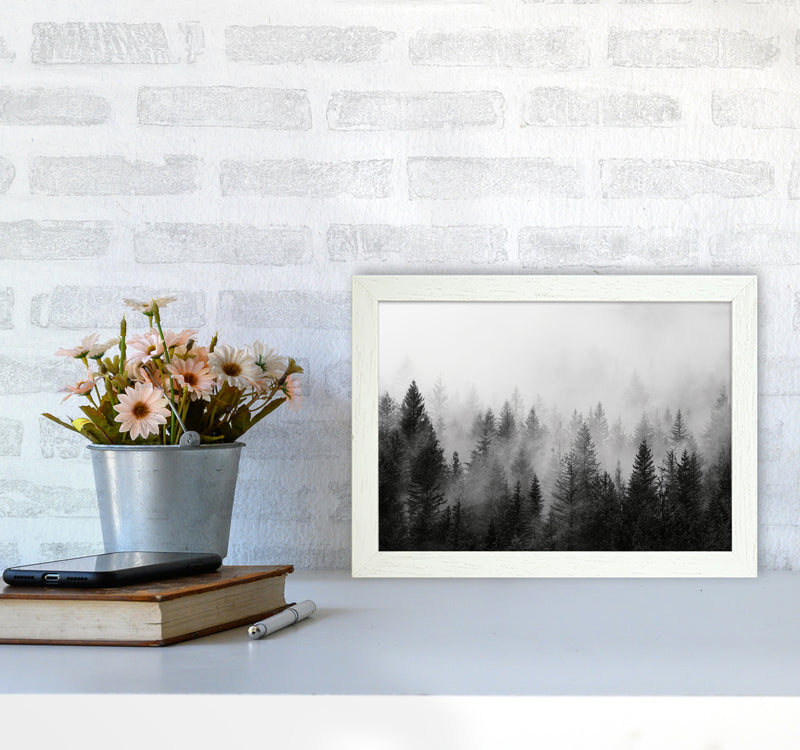 B&W Forest Photography Art Print by Seven Trees Design A4 Oak Frame
