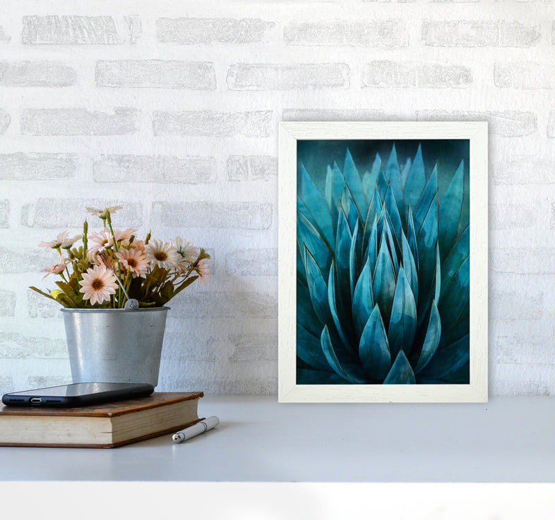 Blue Succulent Art Print by Seven Trees Design A4 Oak Frame