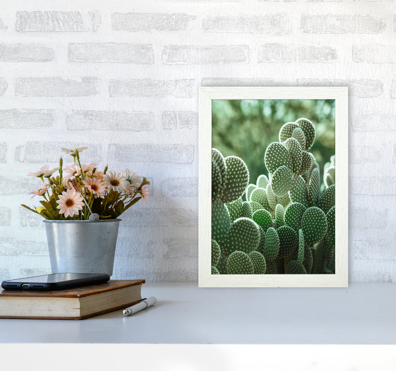 The Cacti Cactus Photography Art Print by Seven Trees Design A4 Oak Frame