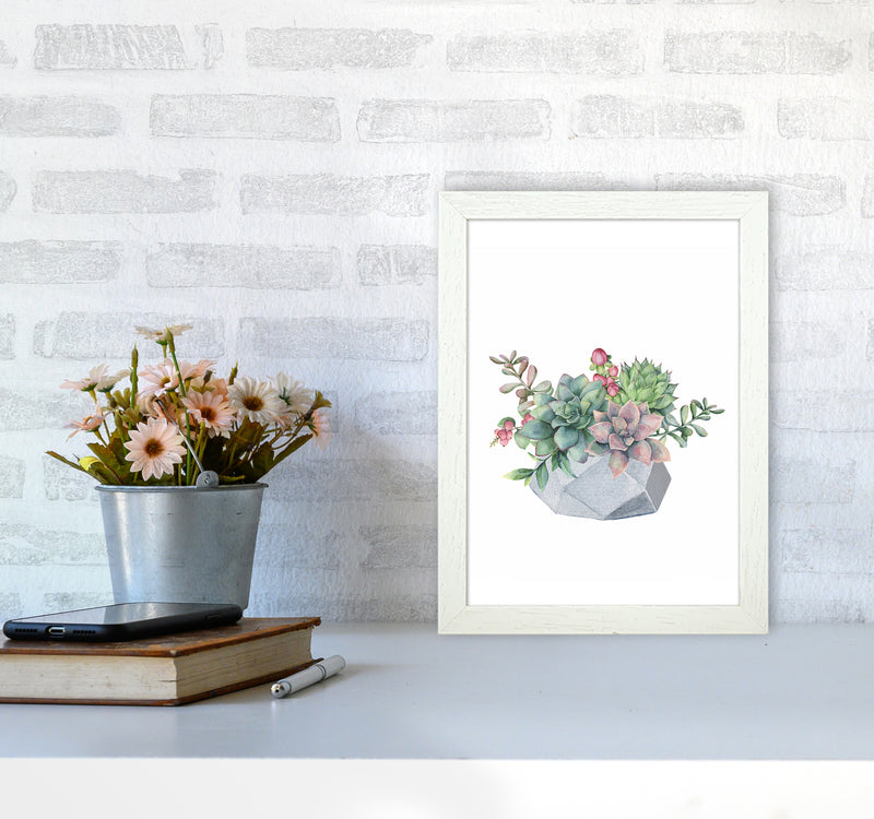 The Watercolor Succulents Art Print by Seven Trees Design A4 Oak Frame