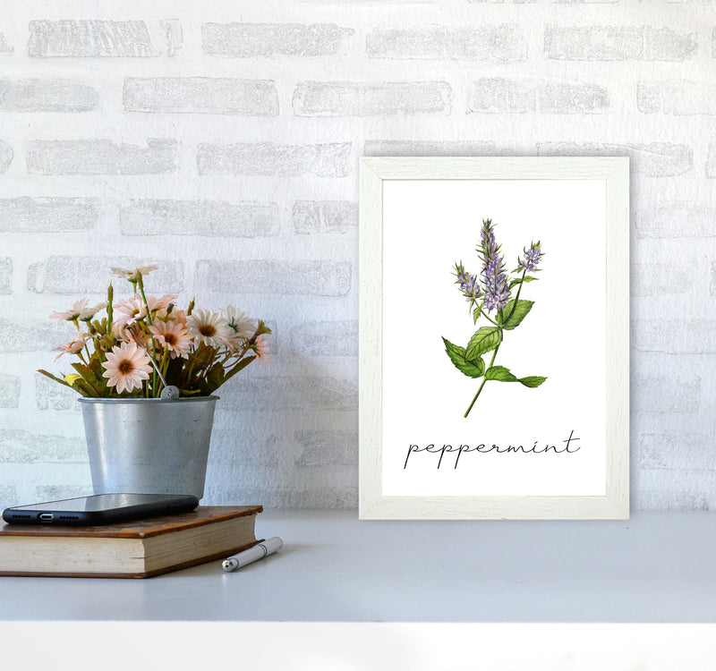 peppermint Art Print by Seven Trees Design A4 Oak Frame