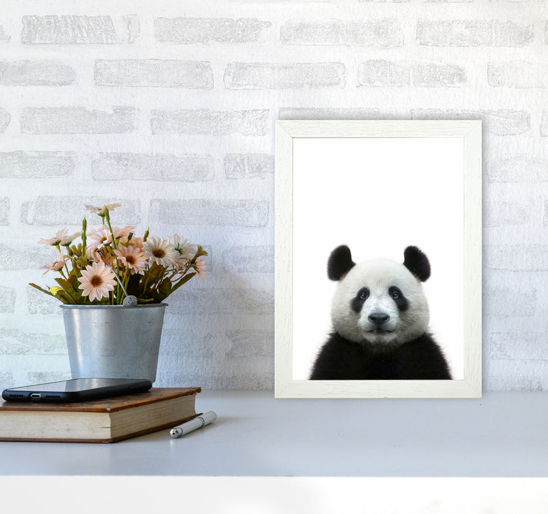 The Panda Art Print by Seven Trees Design A4 Oak Frame