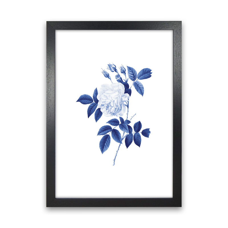 Blue botanic II Art Print by Seven Trees Design Black Grain