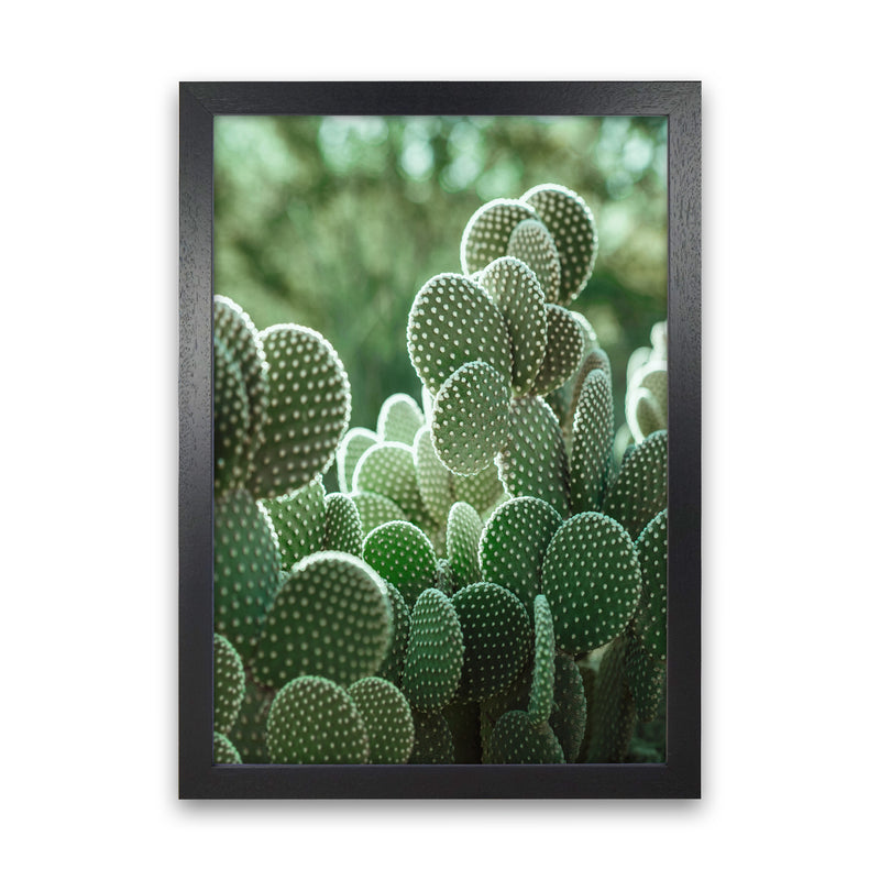 The Cacti Cactus Photography Art Print by Seven Trees Design Black Grain