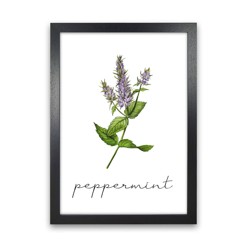 peppermint Art Print by Seven Trees Design Black Grain