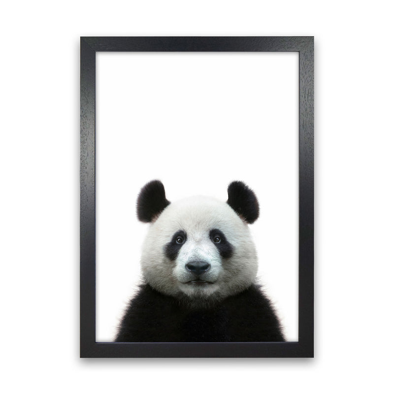 The Panda Art Print by Seven Trees Design Black Grain