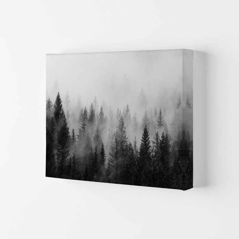 B&W Forest Photography Art Print by Seven Trees Design Canvas