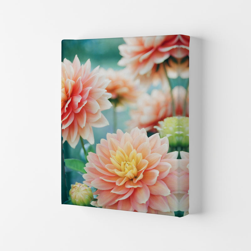 Happy Flowers Photography Art Print by Seven Trees Design Canvas