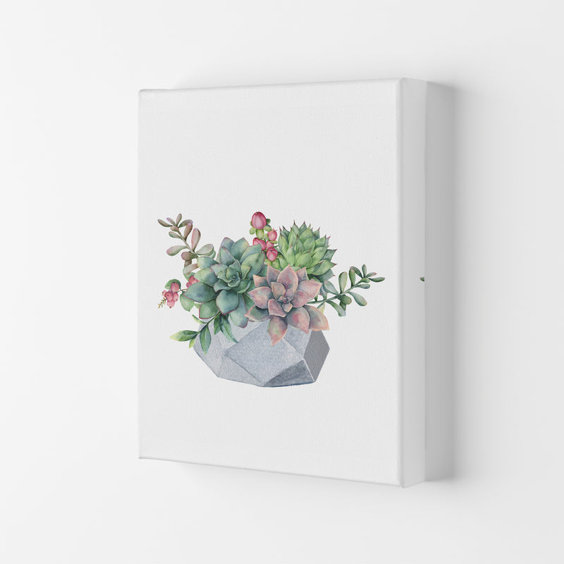 The Watercolor Succulents Art Print by Seven Trees Design Canvas